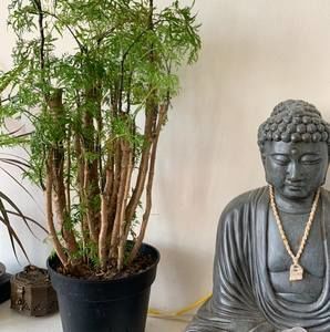 Meet your Posher, Kiki